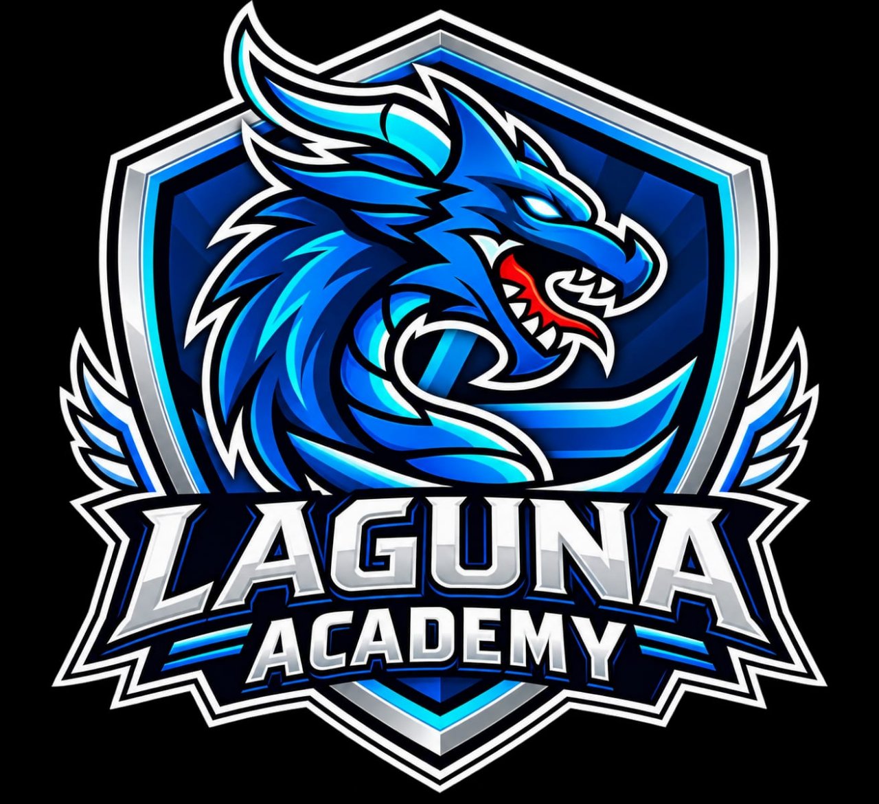 LAGUNA ACADEMY